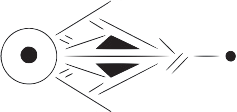 LogoJoeriLugthart